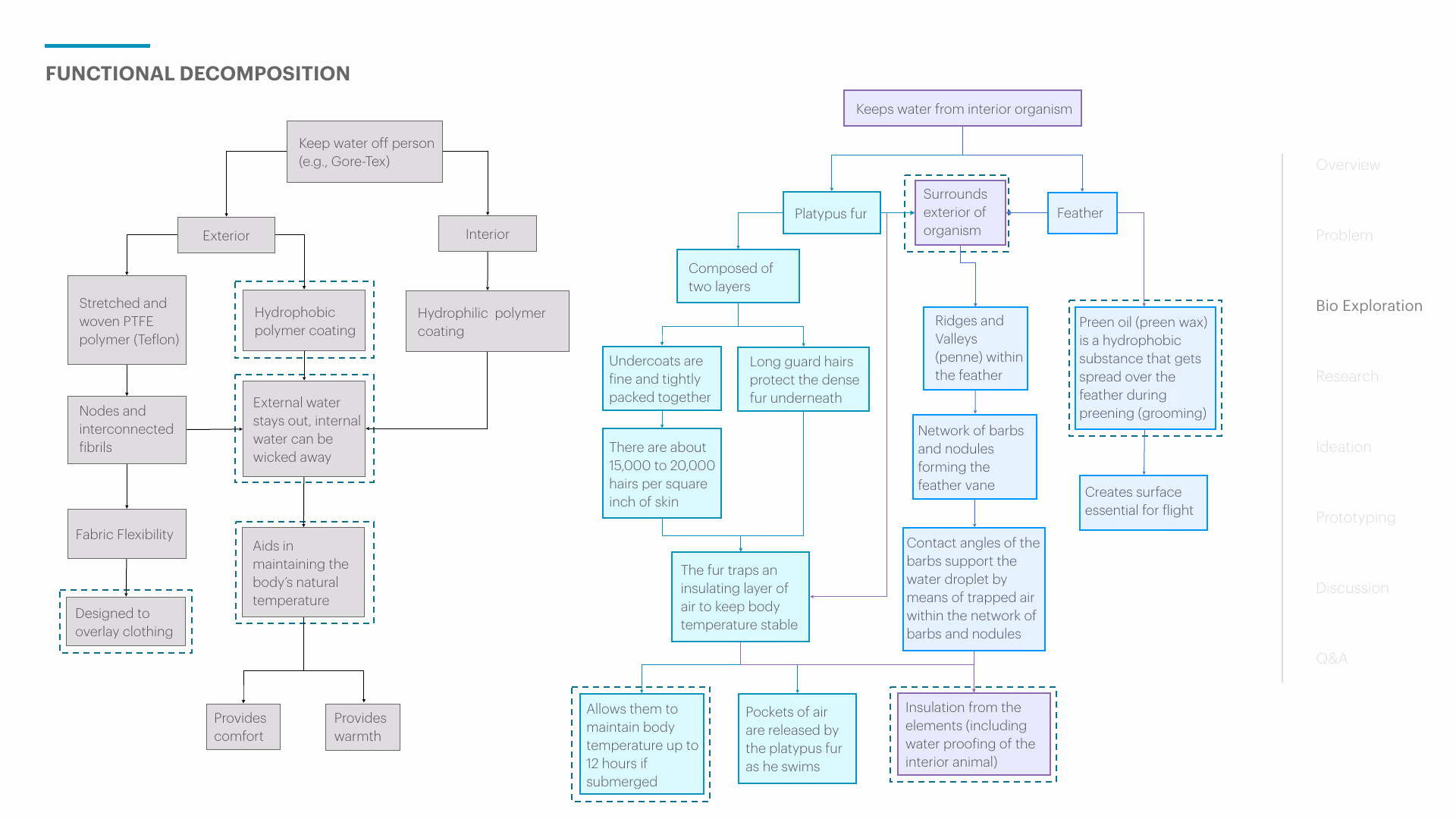 Deck page 14 — a functional-decomposition flowchart mapping Gore-Tex's exterior and interior coatings on the left to platypus fur and feather structure on the right, each traced down to its underlying mechanism.