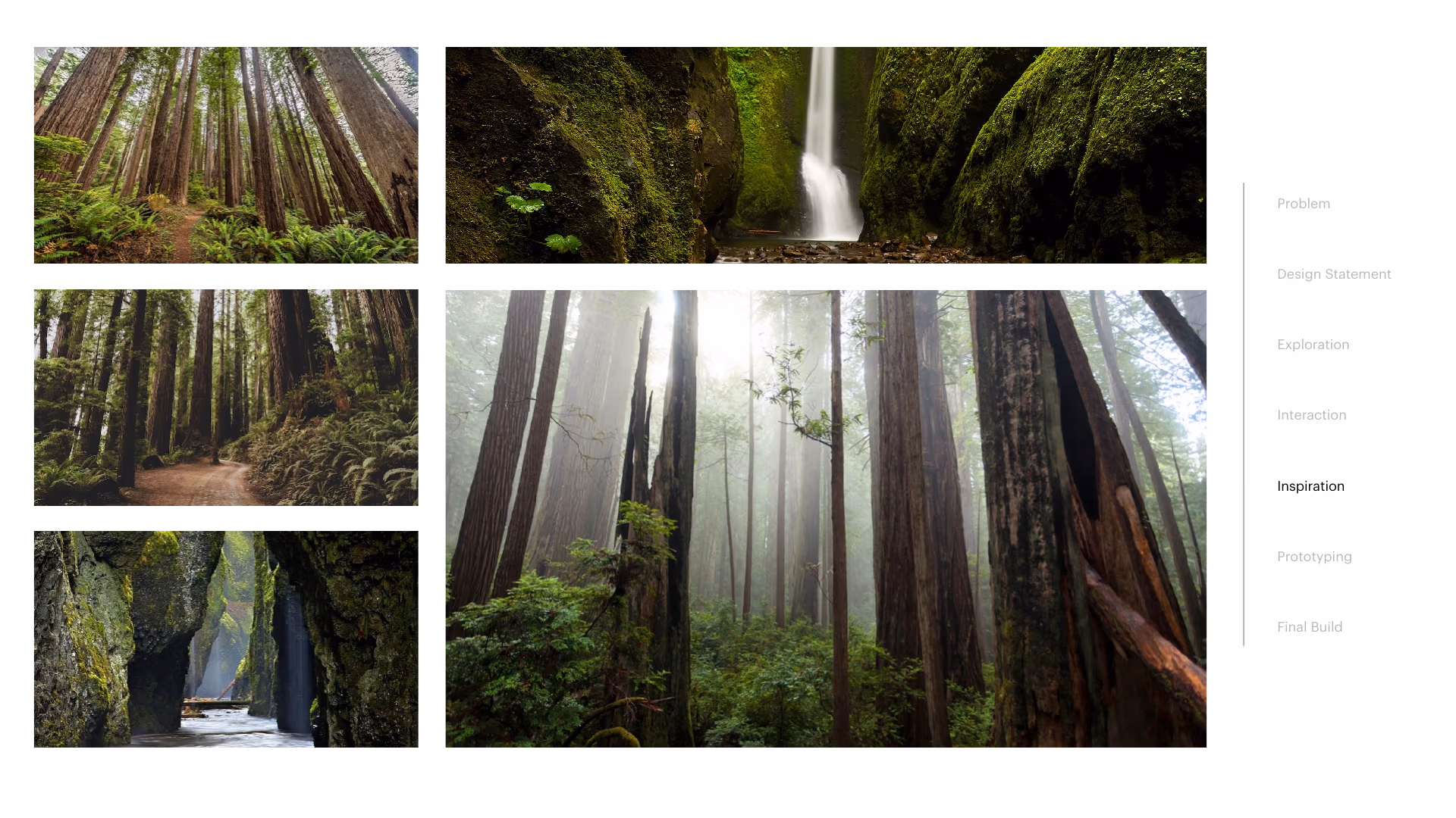 Deck page 14 — an untitled inspiration board of old-growth forest photography: tall trunks, a mossy canyon waterfall, and light filtering through the canopy.